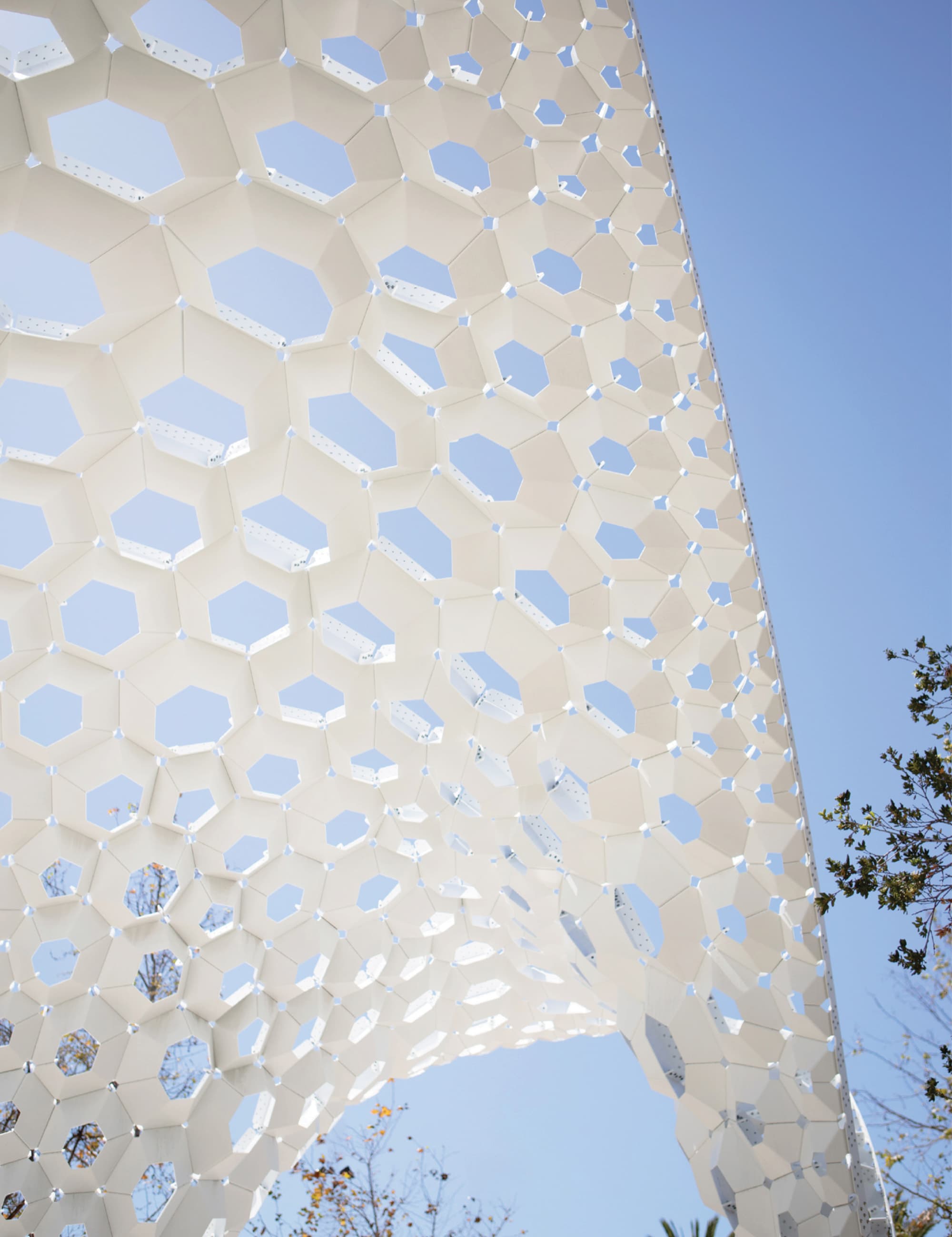 Close-up looking up at a curving white sculptural canopy made of interlocking hexagonal and pentagonal panels, with patches of blue sky showing through gaps, set against a clear sky and treetops.