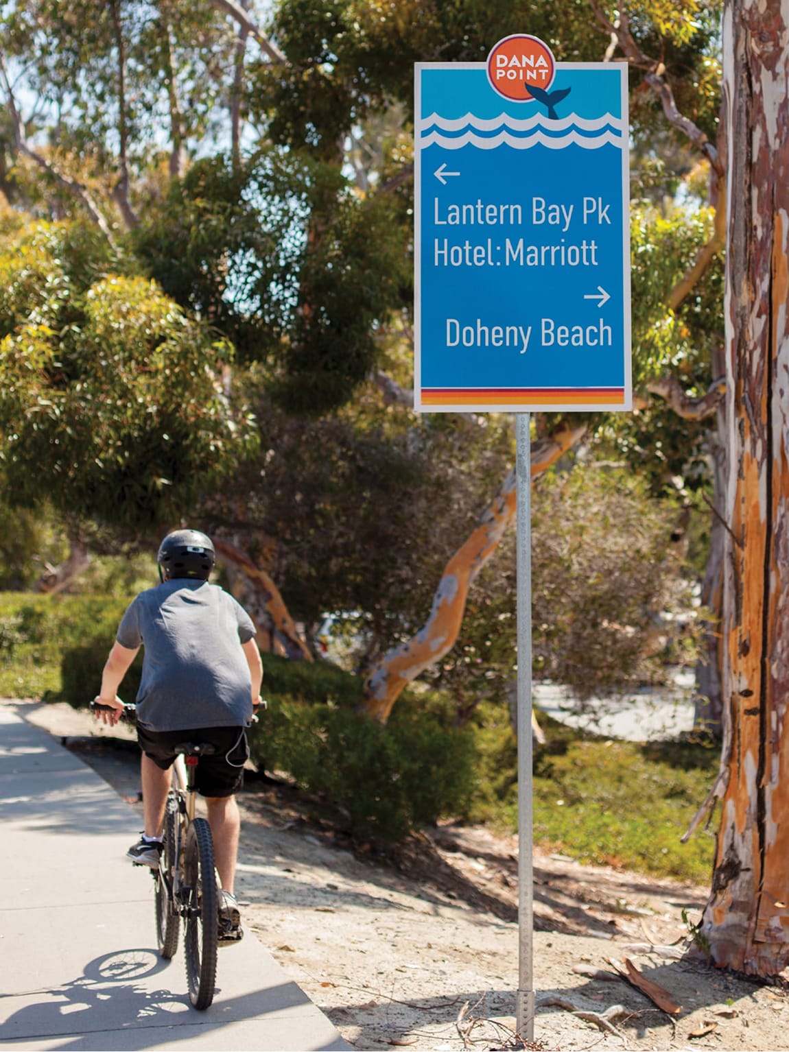 Cyclist riding past a directional sign for Lantern Bay Park, the Marriott, and Doheny Beach in Dana Point - environmental graphic design by RSM Design