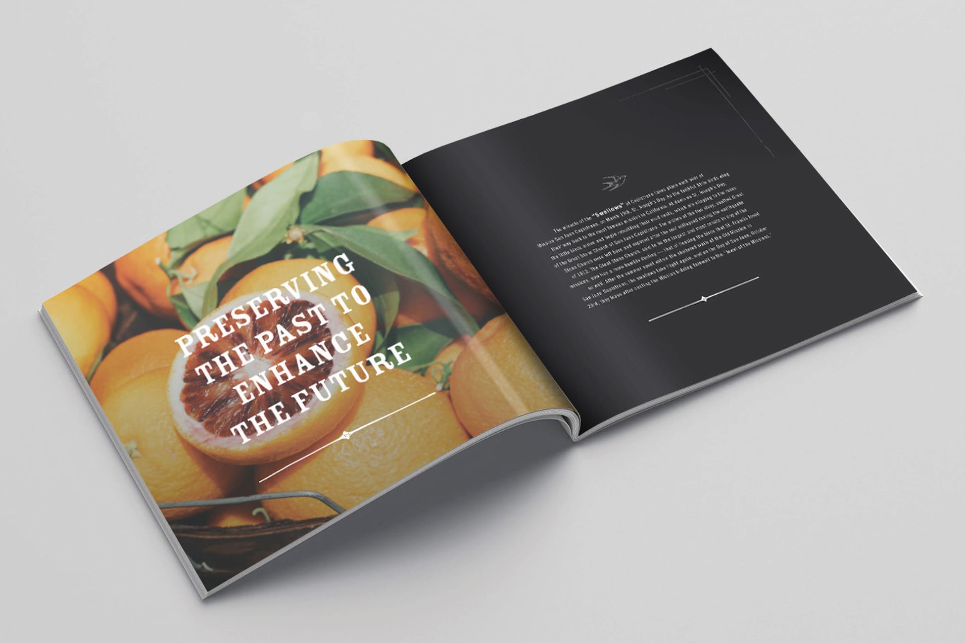 River Street Marketplace brand book spread with citrus imagery, brand identity by RSM Design