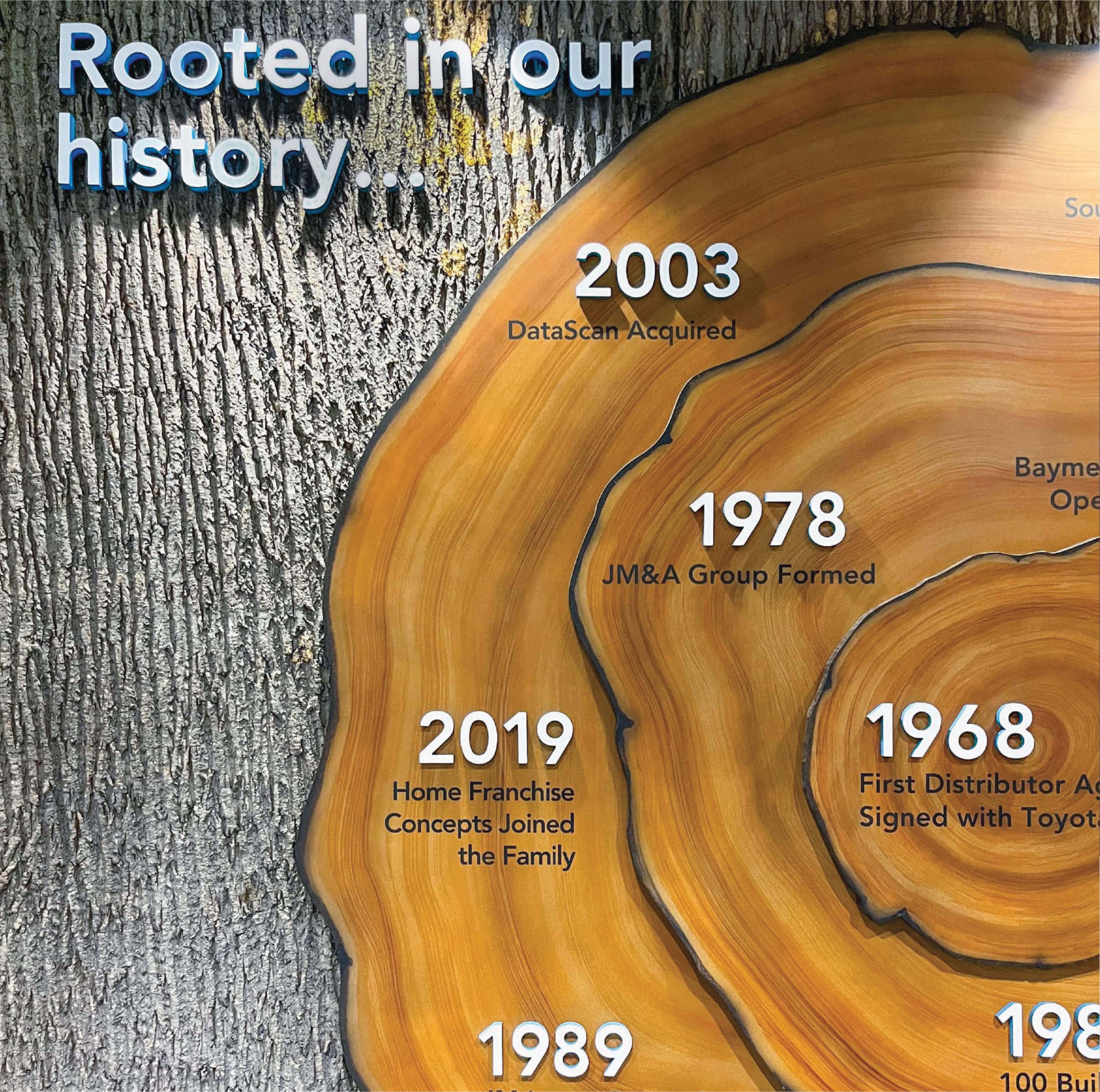 Environmental graphic design timeline wall illustrating brand history through layered wood textures and dimensional typography, integrating storytelling, placemaking, and experiential graphics within a corporate workplace environment to support brand identity and user engagement.