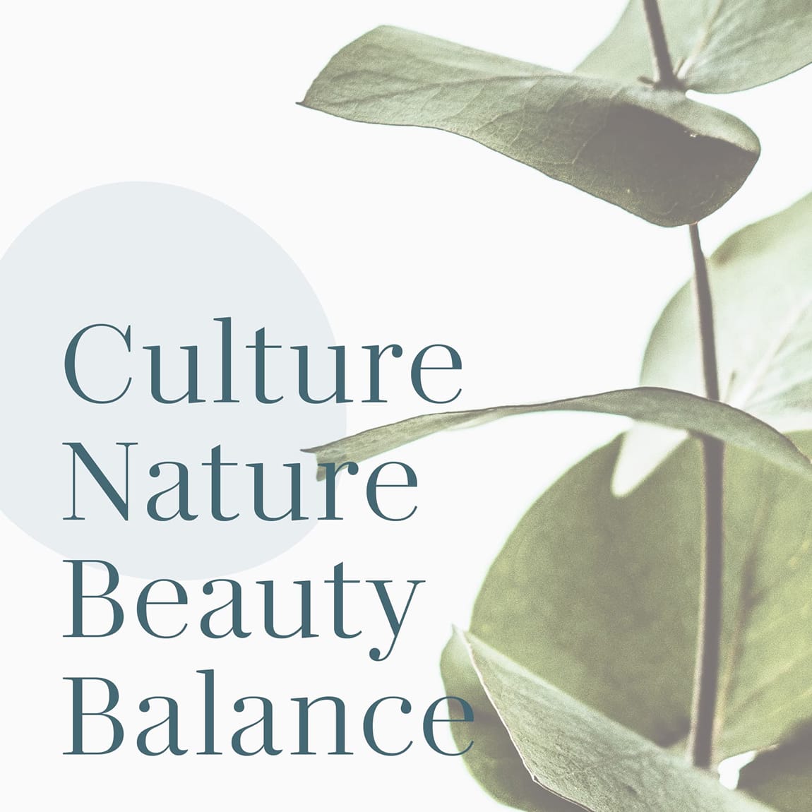 "Culture, Nature, Beauty, Balance" pillar words set beside a leaf photograph, brand messaging for Hall Park by RSM Design