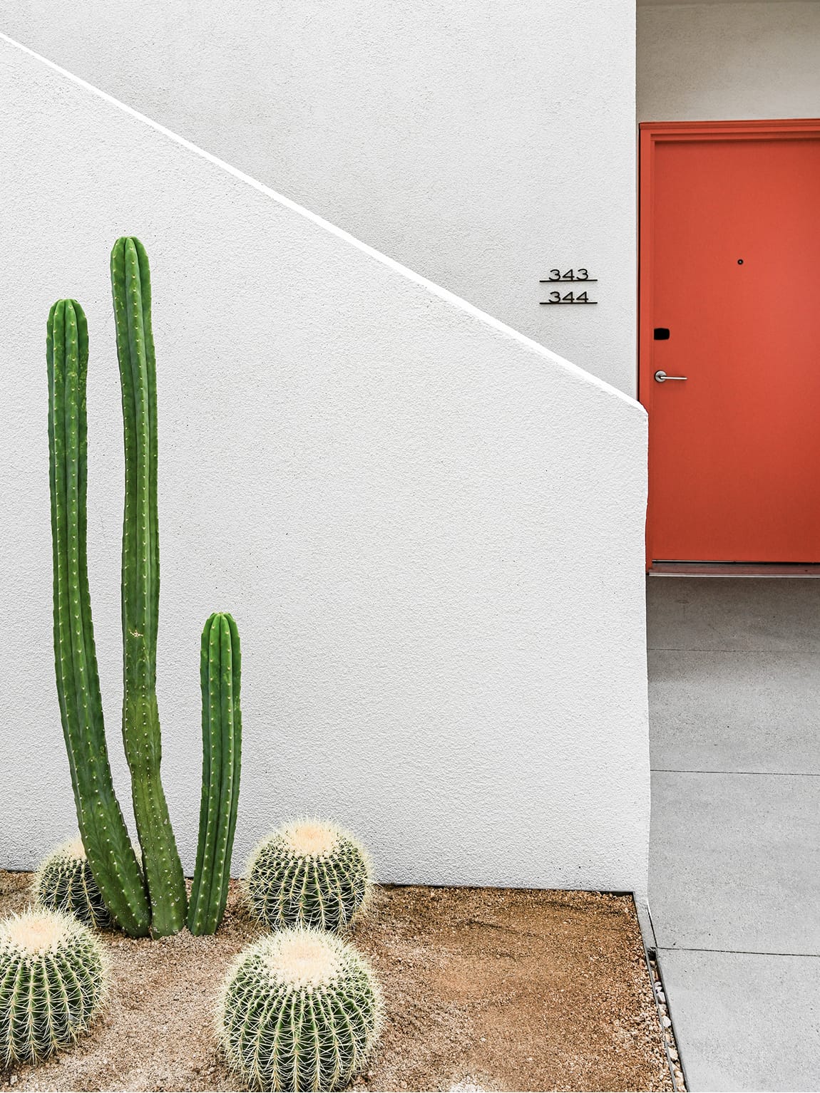 Graphic composition of a white stucco exterior staircase wall at Thompson Palm Springs, with columnar and barrel cacti in a desert gravel bed and a bold orange-red guest room door numbered 343–344 in the corner.