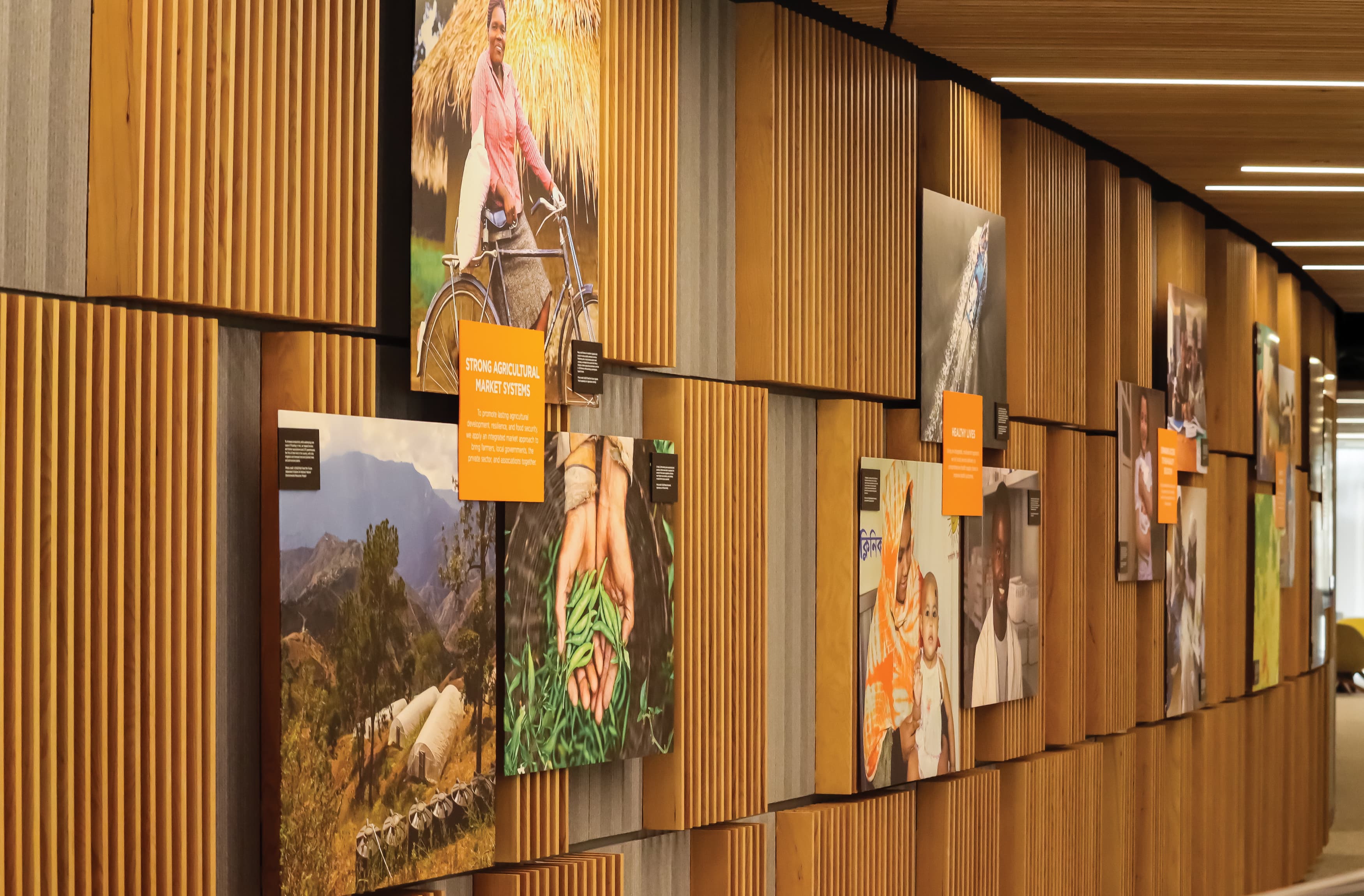 Textured wooden wall with images and orange plaques displaying information. 