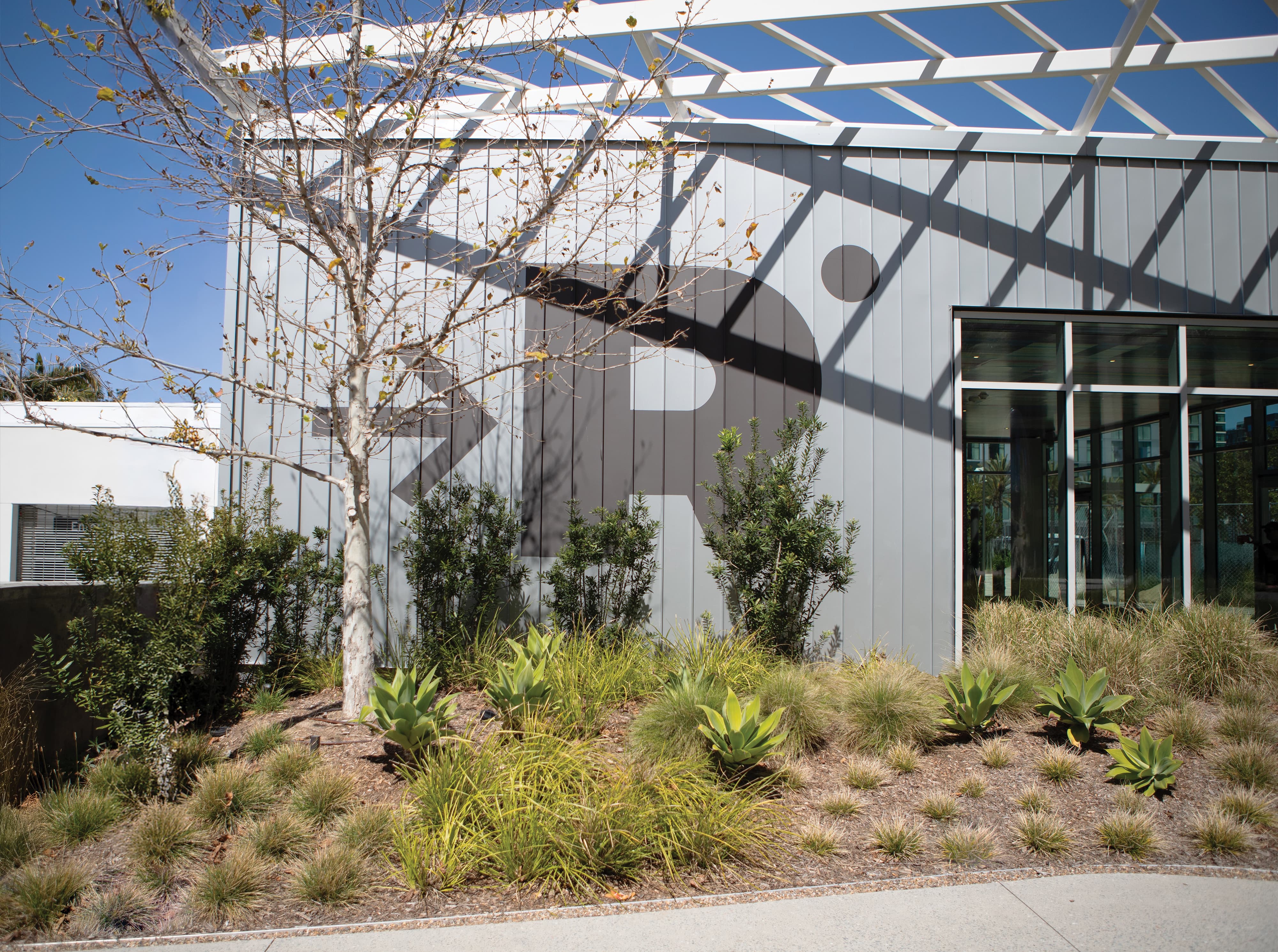 Metal-clad building with a large tonal arrow-and-'R' logo mark on its facade, shaded by a white pergola trellis, with a bare tree and native grasses and agave landscaping in front, and a glass entrance to the right.