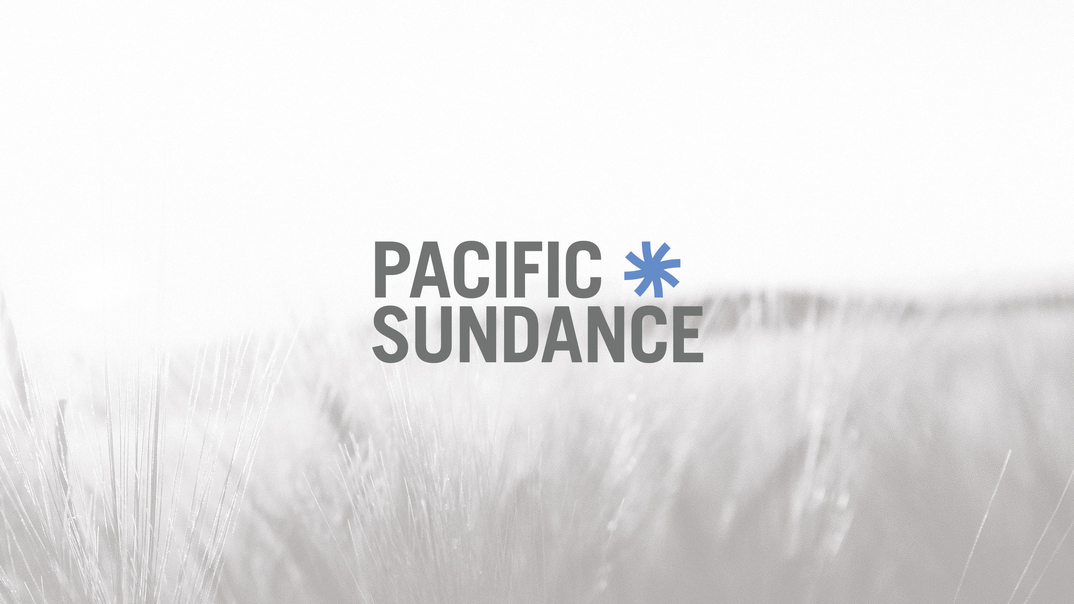 Logo design for Pacific Sundance on top of a black and white image of a field.