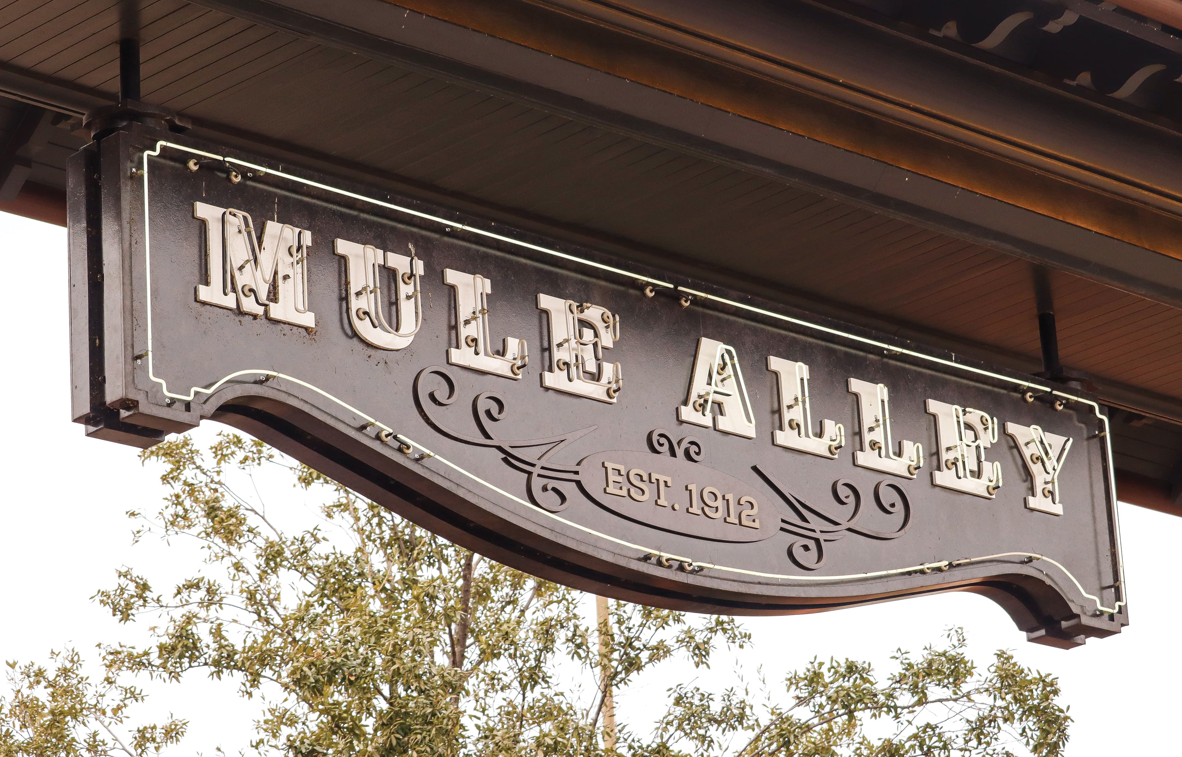 A sign hangs suspended from an overhang. The sign reads “Mule Alley” in large text above, and “Est. 1912” in small text below. The large text is made of two layers: a rear layer of bold, antique slab serif font in white, and a front layer of neon light tubing. The small text sits at the center of a calligraphic flourish ornament. The sign itself is painted in a gloss brown color with a thin, white border of neon light tubing. Behind the sign, there’s a tree and the open, gray sky.
