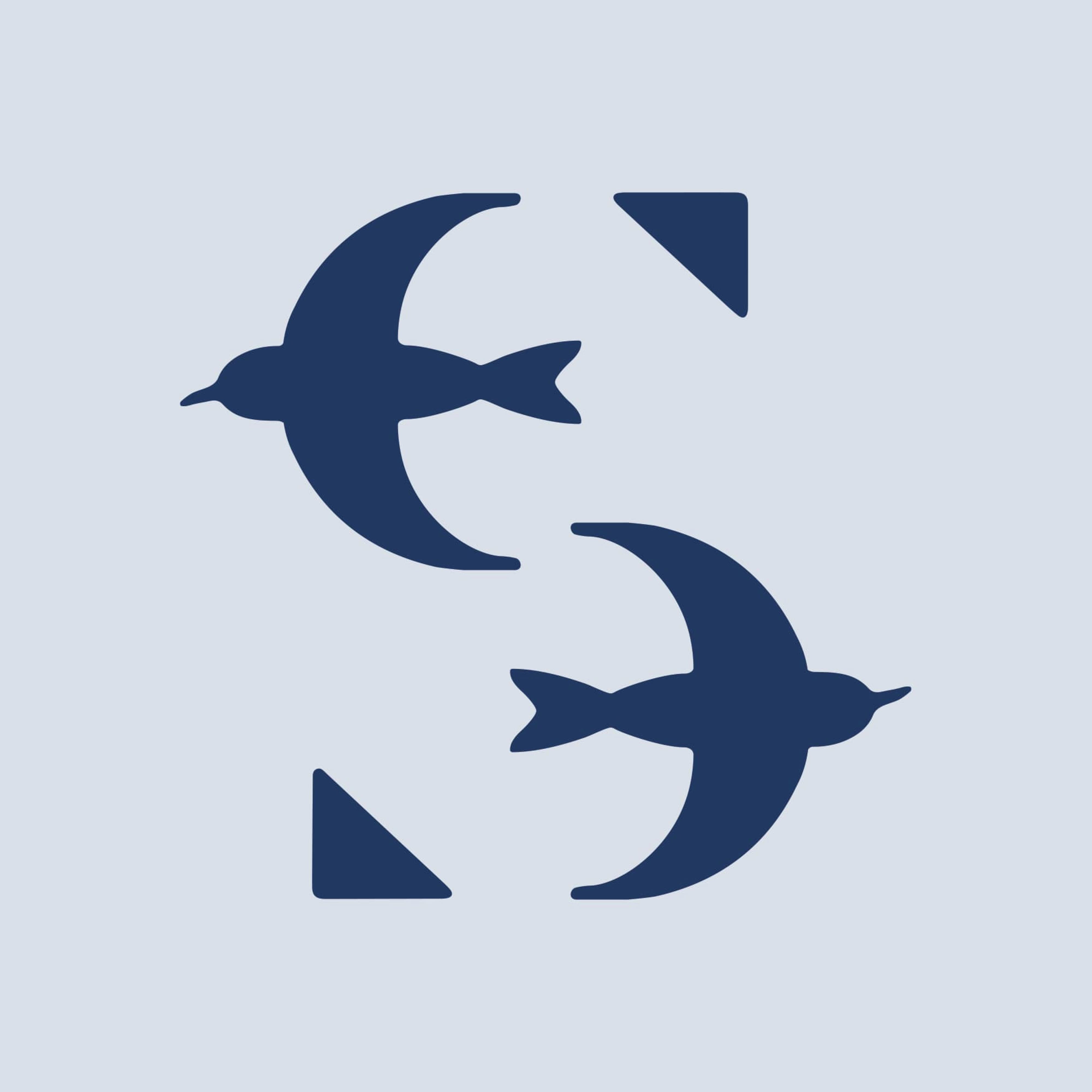 Saltaire brand icon featuring two navy tern silhouettes forming an "S" lettermark on a light blue-gray background, showcasing visual identity and branding design for a food and beverage and education market client by RSM Design.