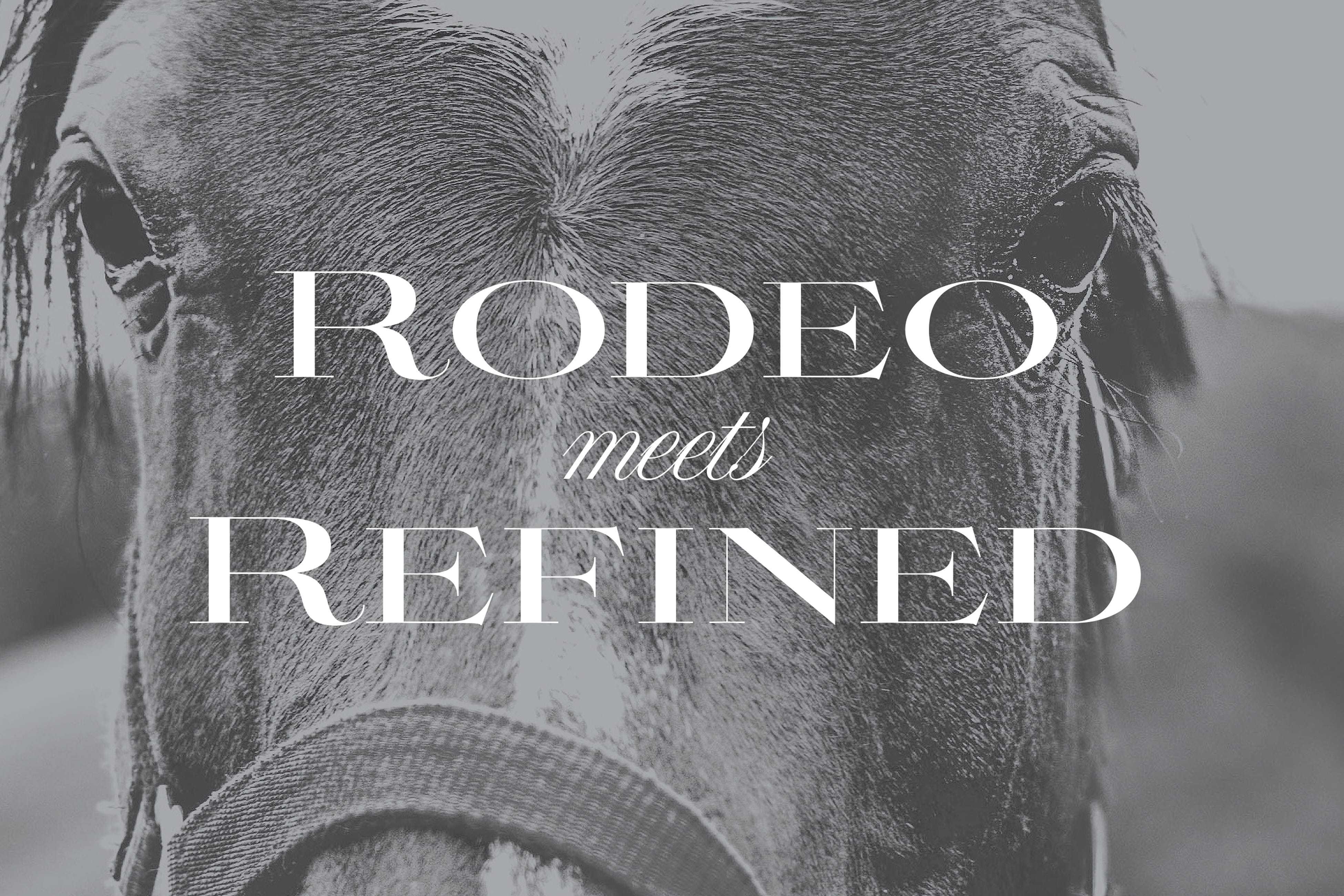 "Rodeo Meets Refined" tagline over close-up black and white photo of a horse's face, Trick Rider, Omni PGA Frisco Resort, brand identity by RSM Design.