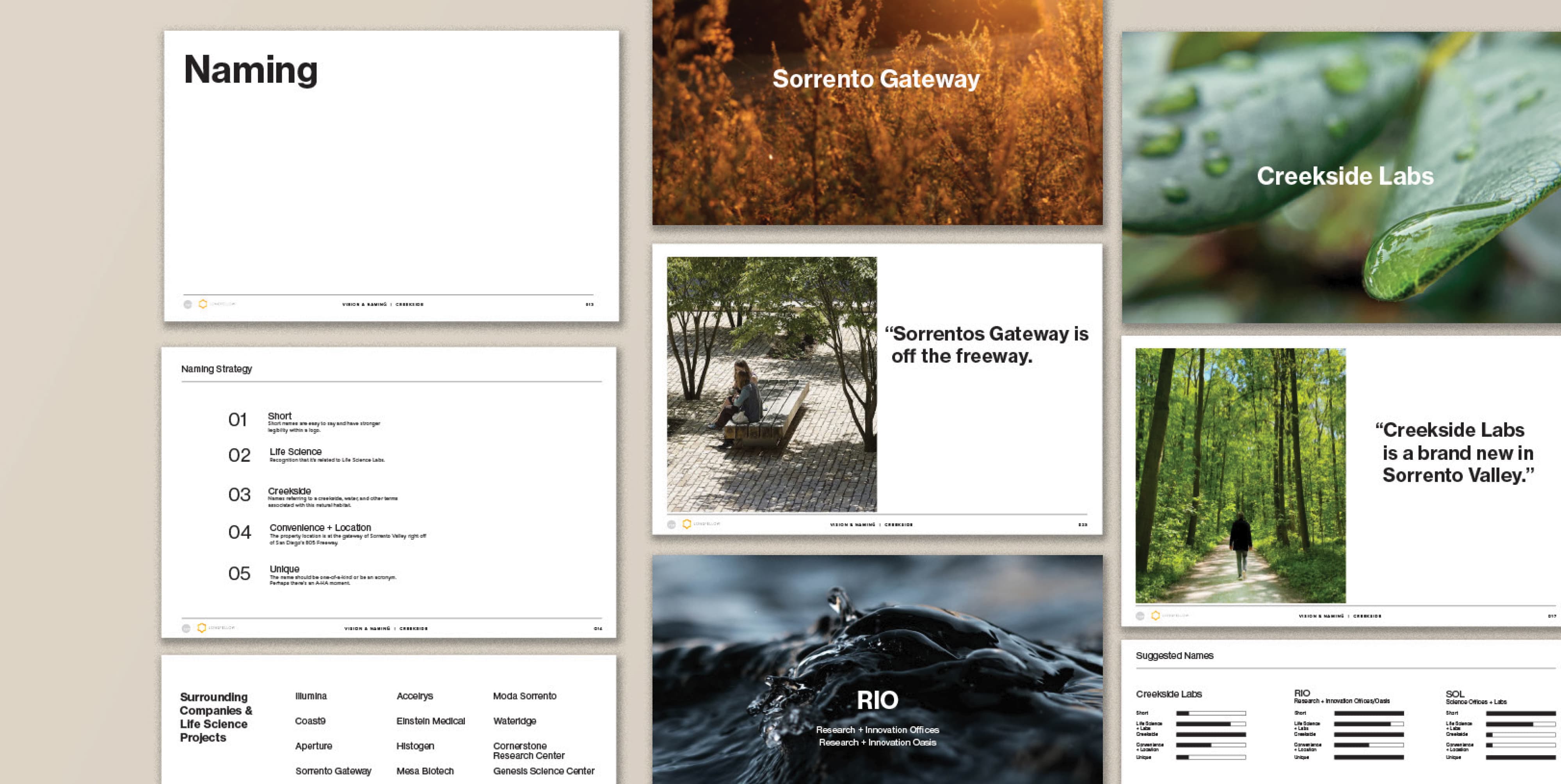 Brand naming and strategy presentation boards for Creekside Labs in Sorrento Valley, illustrating brand development, placemaking strategy, and environmental graphic design for life science campuses, innovation districts, and workplace environments.