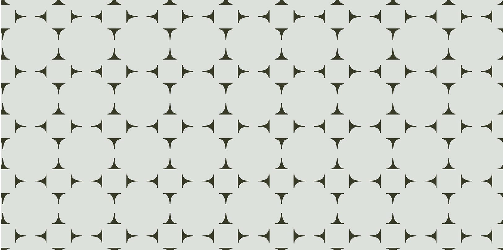 The North Rim geometric star brand pattern in olive and mist, brand identity design by RSM Design