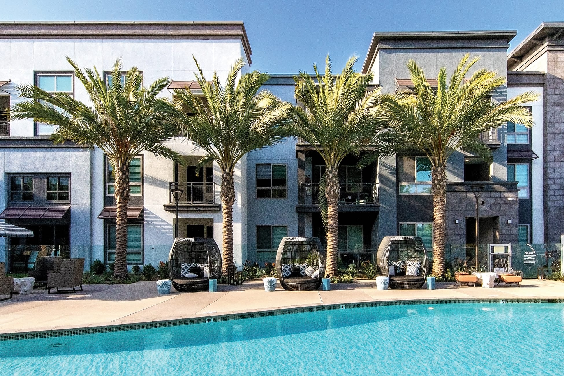 Persea residential community pool deck with cabana loungers and palm trees, environmental graphic design by RSM Design