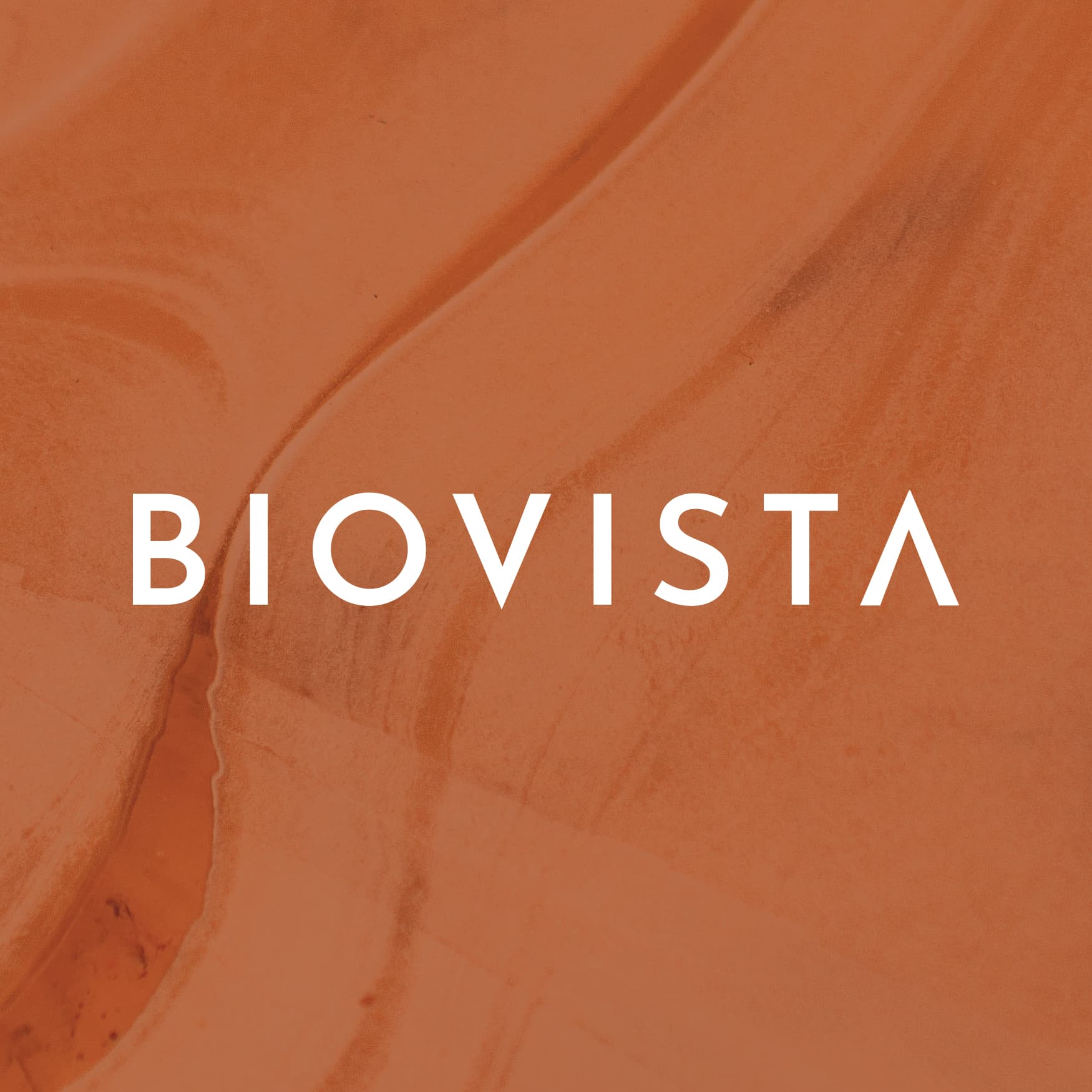Image of an orange rock texture with a white typographic biovista logo over.