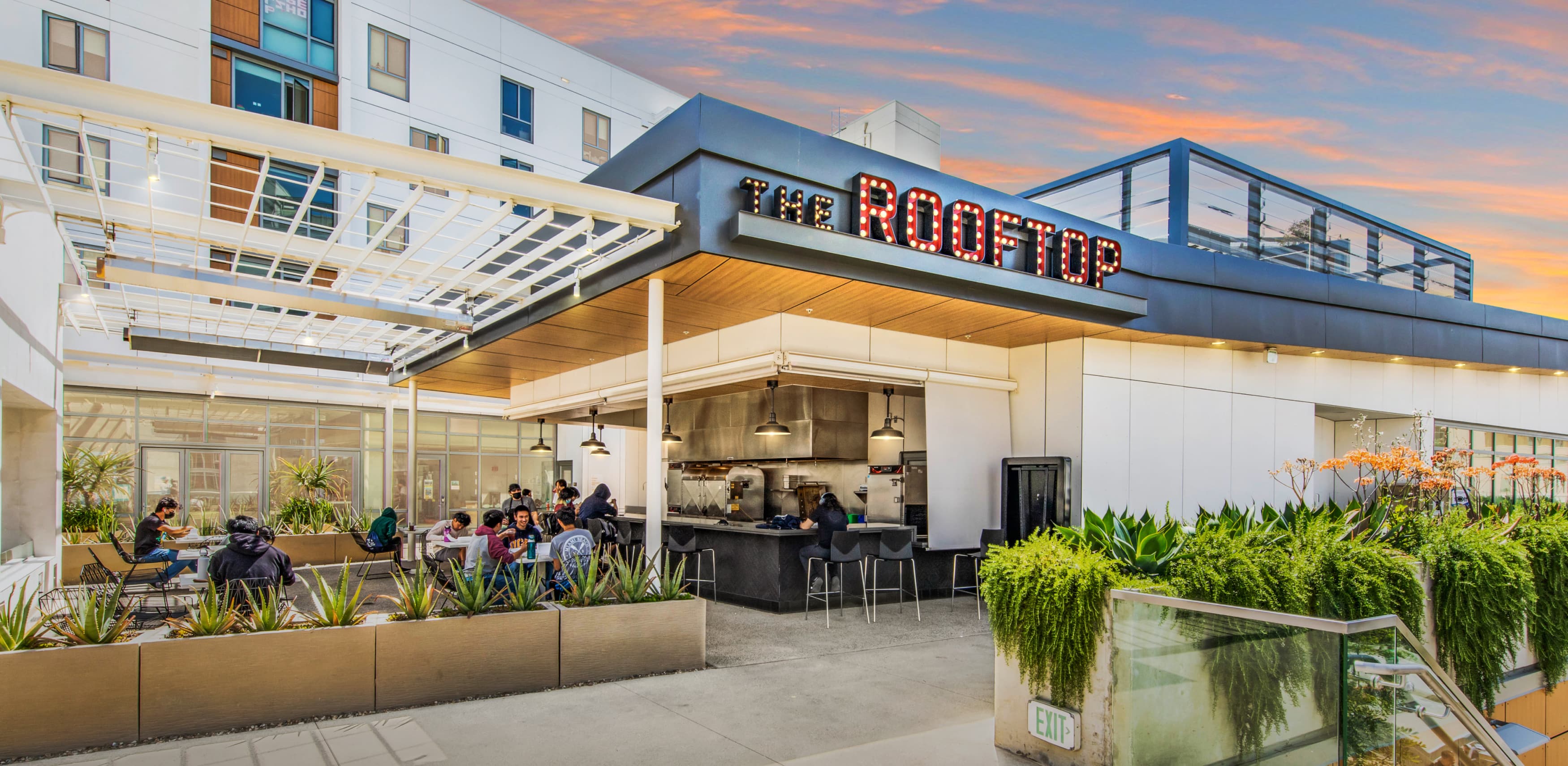 "THE ROOFTOP" open channel letter identity with exposed warm light bulbs sign for UC San Diego Sixth College dining hall by RSM Design in San Diego, California.