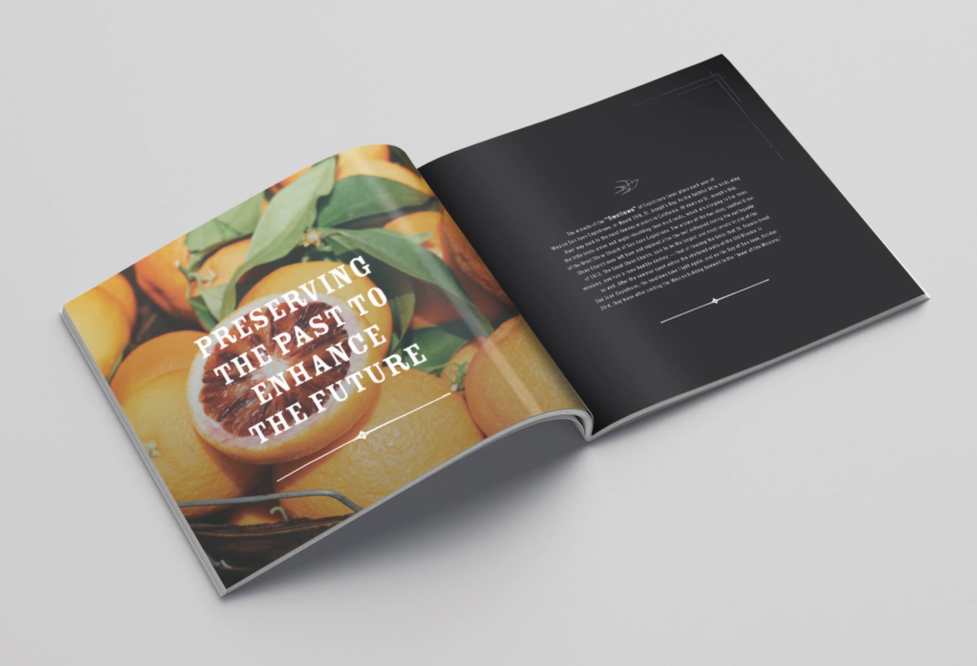 Open spread of an RSM Design branded print collateral booklet featuring a close-up citrus fruit photograph overlaid with the text "Preserving the Past to Enhance the Future," representing placemaking, experiential graphic design, and brand identity storytelling for mixed-use, cultural, and community environments.