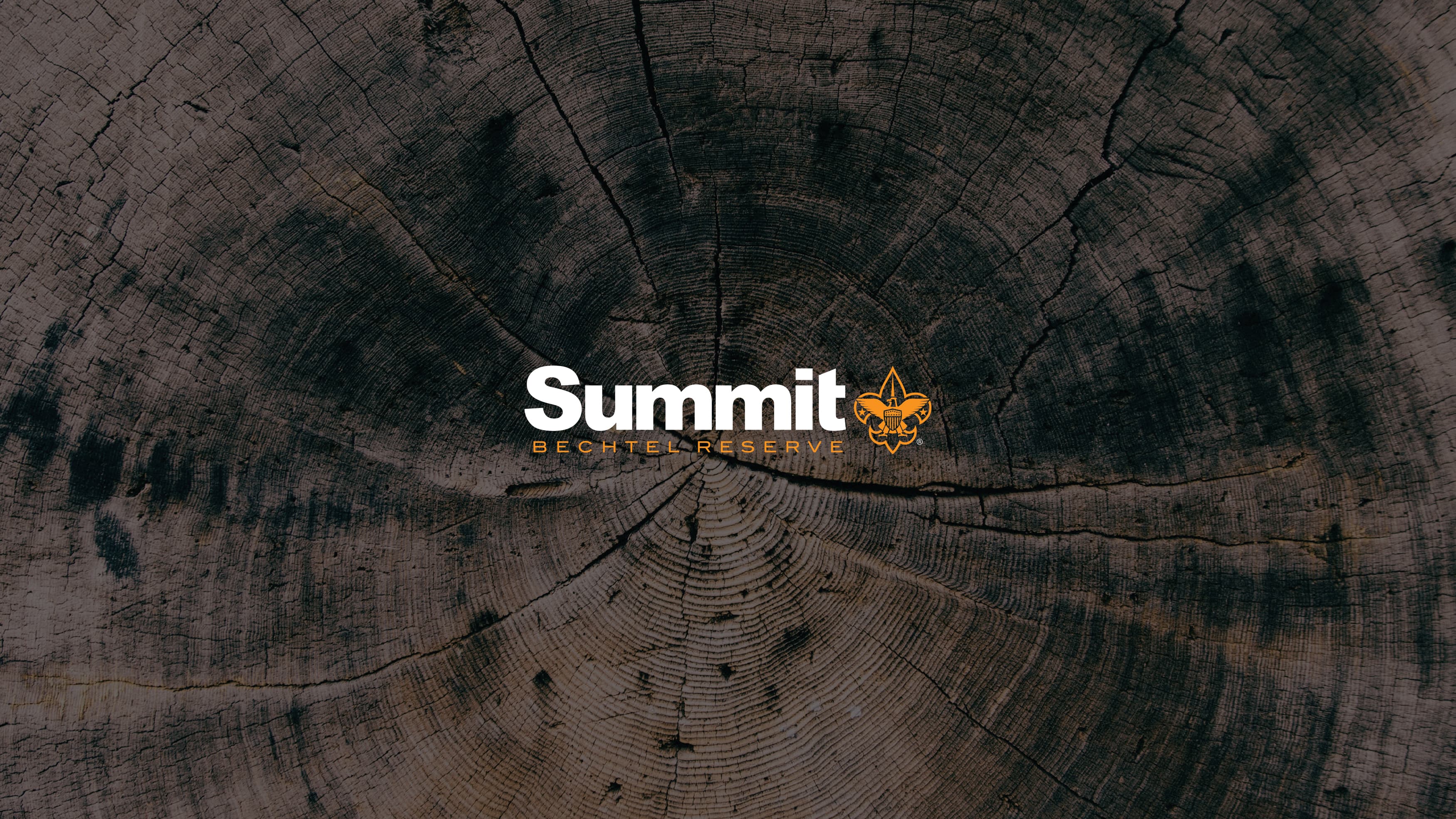 Logo for The Summit shown on top of a tree trunk texture.