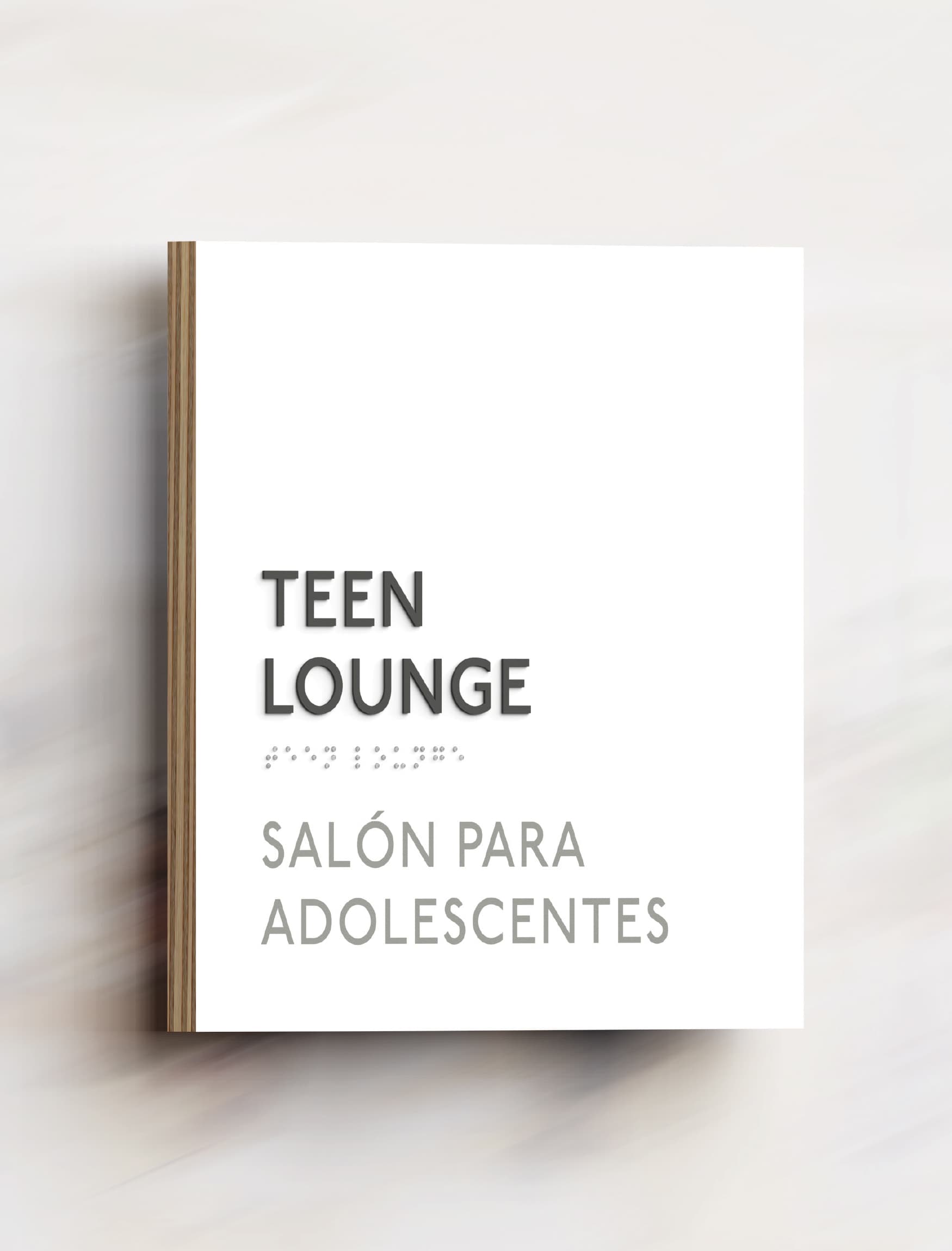 Teen lounge signage with braille and bilingual translation.