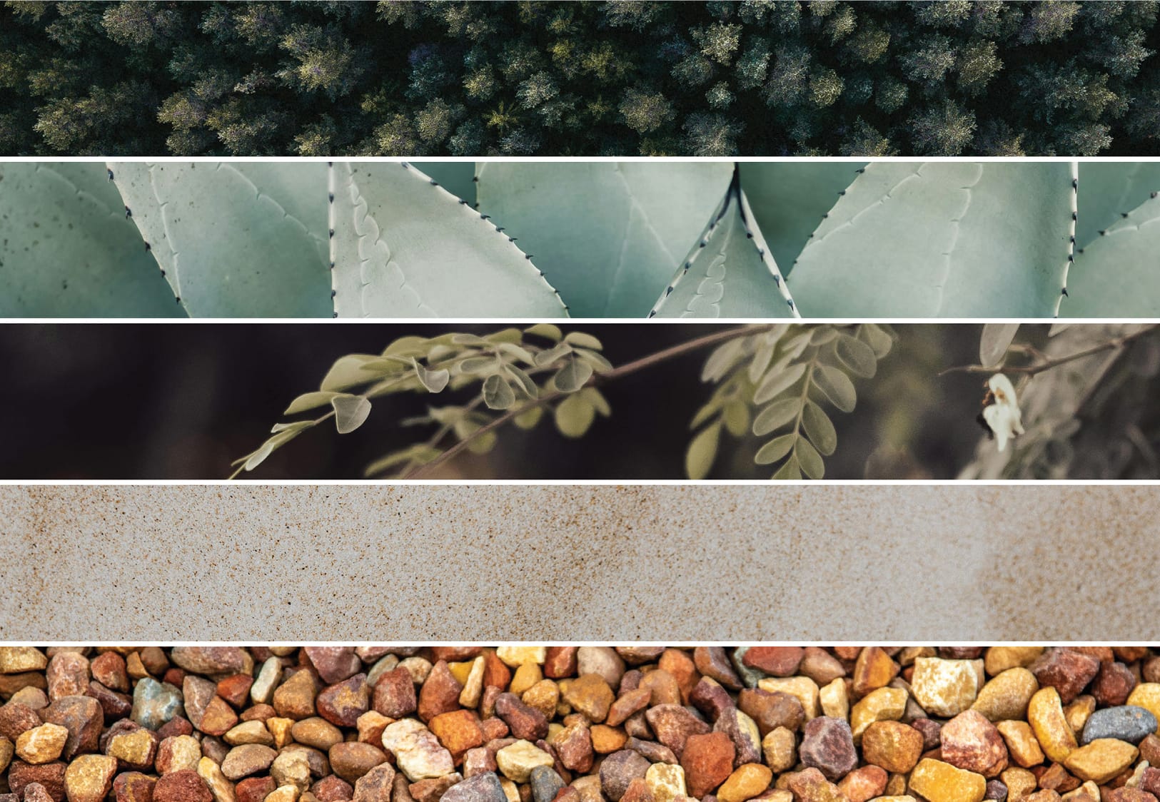 The North Rim brand mood board with agave, foliage, sand, and stone textures, brand identity design by RSM Design