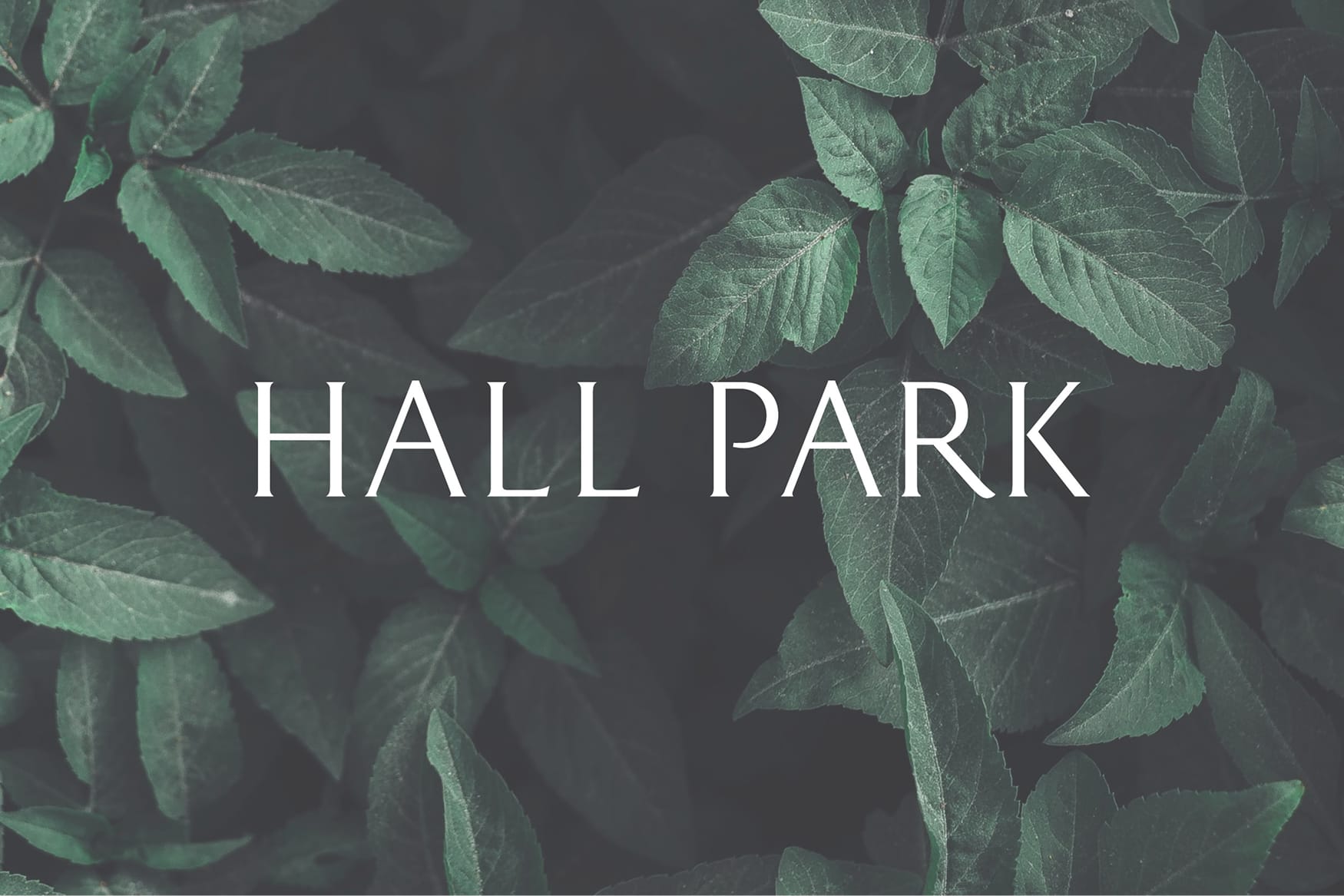 "Hall Park" wordmark over a dense green foliage background, brand identity for the Frisco mixed-use development by RSM Design