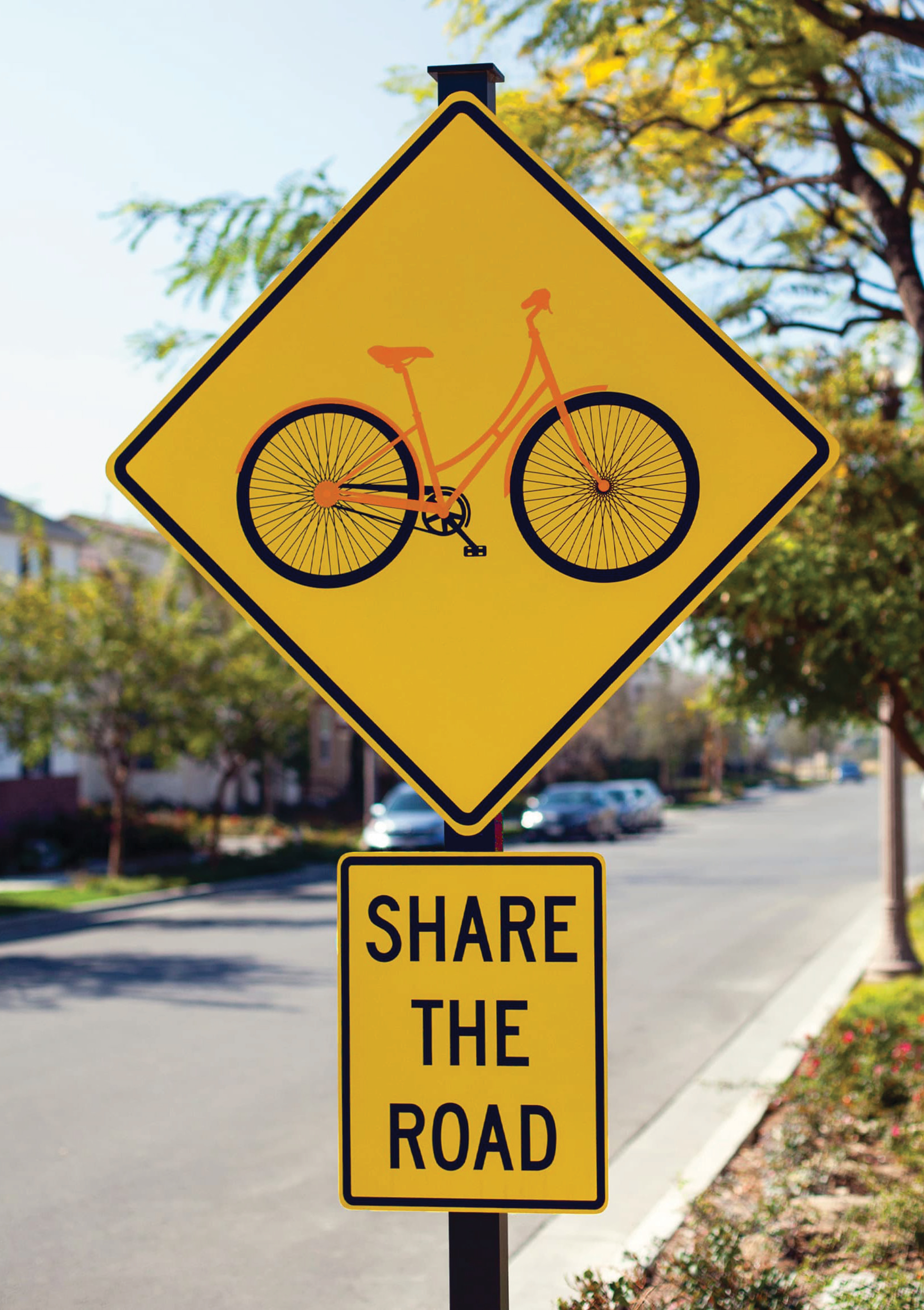 Yellow diamond-shaped bicycle crossing sign with a 'Share the Road' plaque below it, mounted on a residential street lined with trees and parked cars