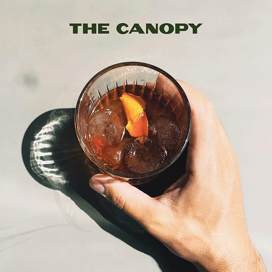 The Canopy branding above hand holding cocktail with dramatic shadow - brand identity design by RSM Design