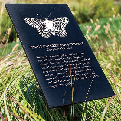 Outdoor interpretive nature sign featuring gold etched Quino Checkerspot Butterfly illustration and educational text on a dark panel installed among native grasses, designed by RSM Design