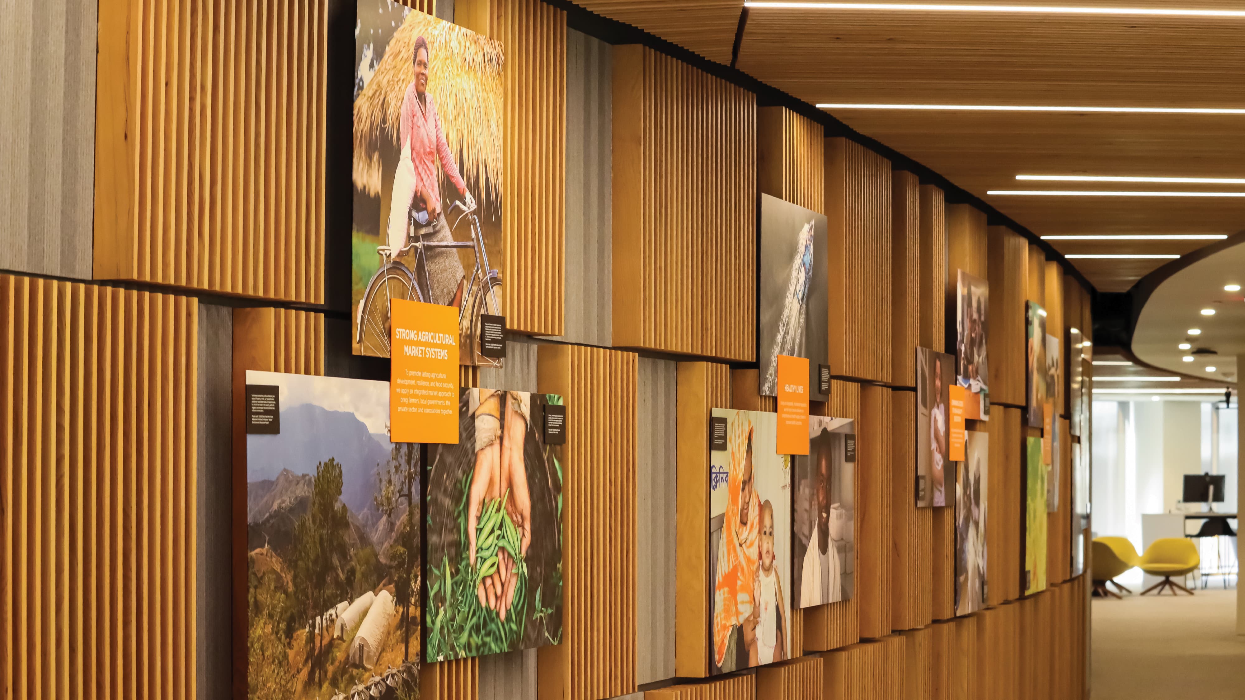 Interior experiential graphics wall featuring layered storytelling panels and photography, showcasing environmental graphic design, placemaking, and brand storytelling for workplace, corporate, and mixed-use environments.