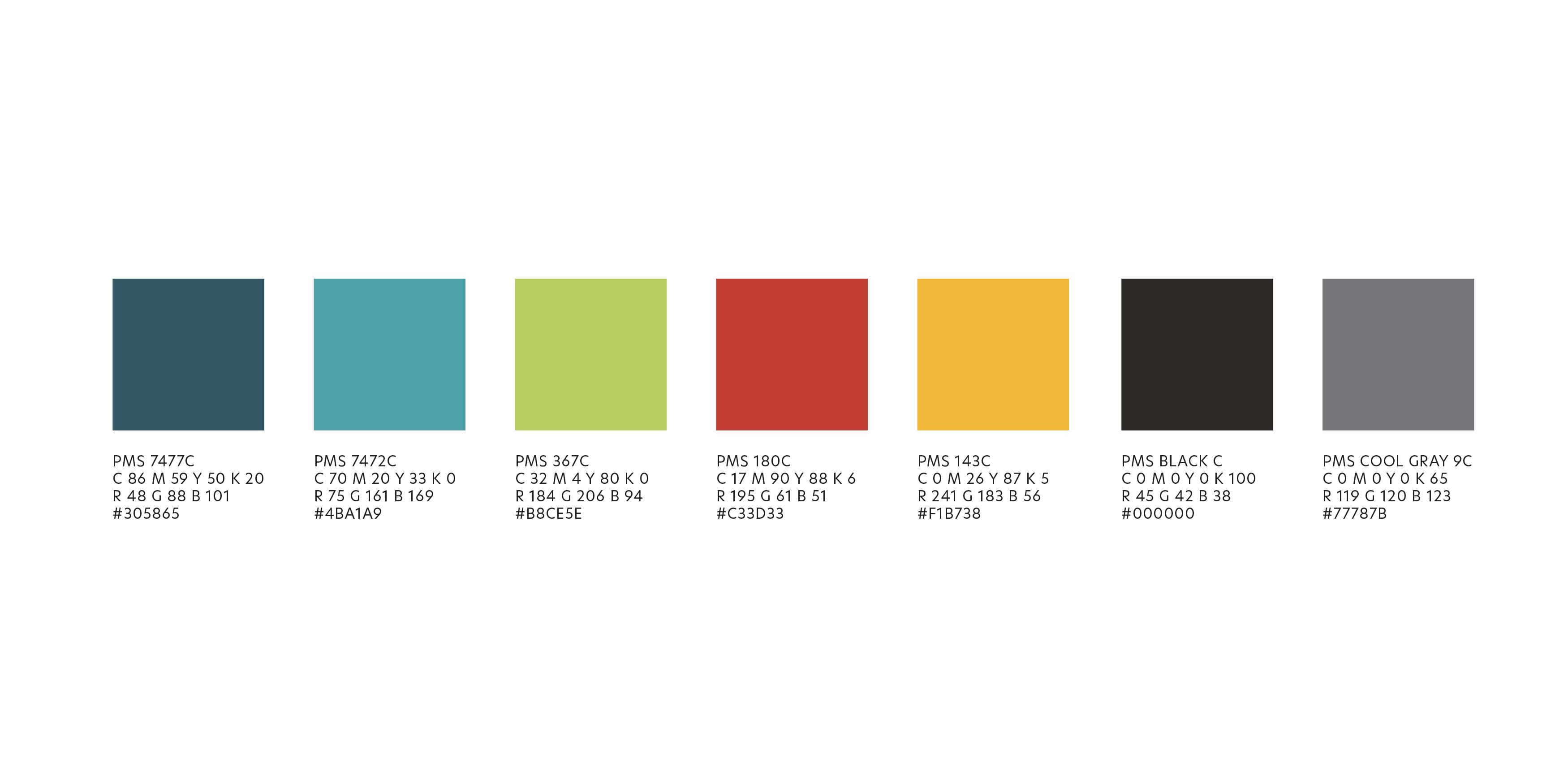 Color palette for Paragon Star Branding. 