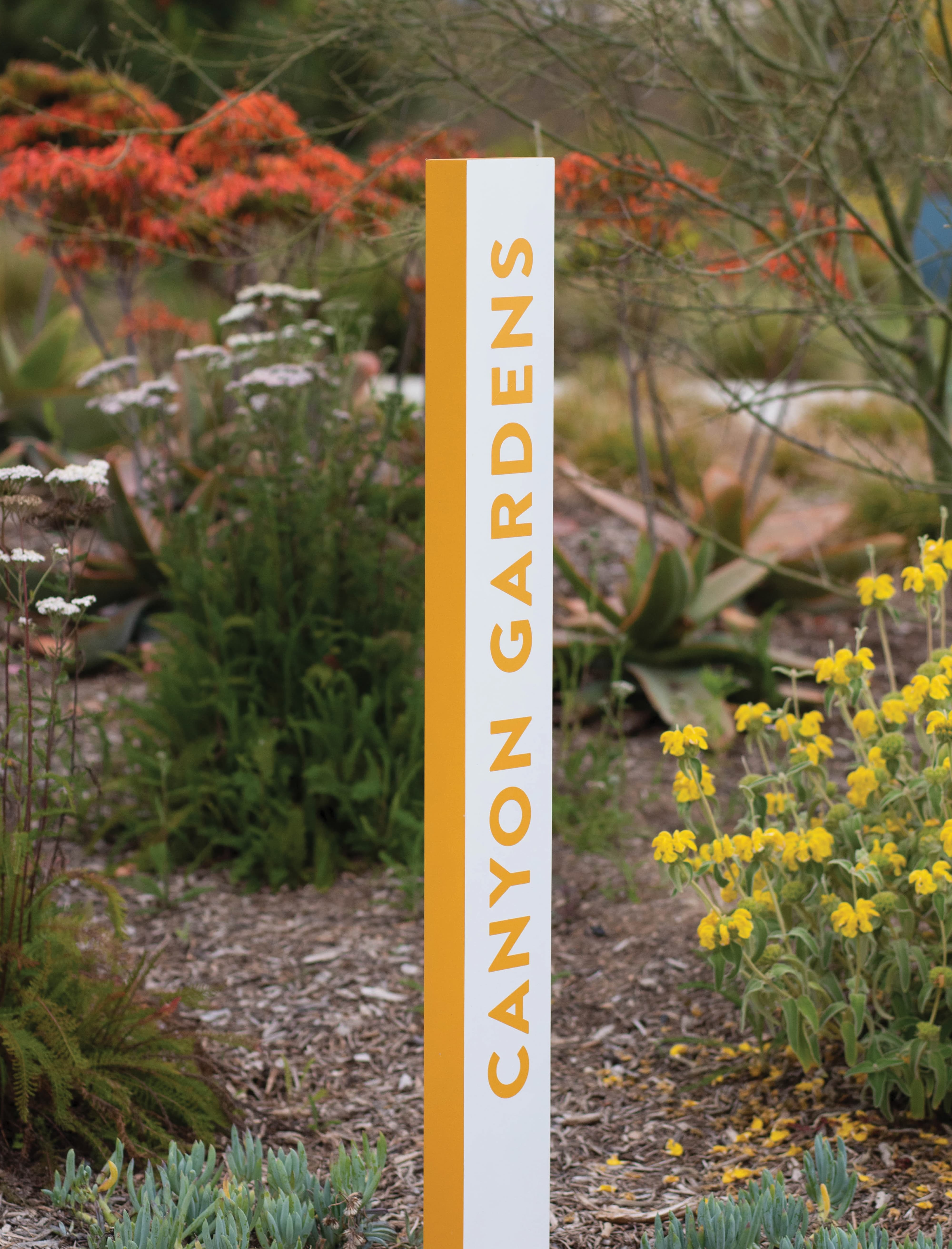 A slender vertical amenity identification post reading "Canyon Gardens" in yellow typography on a white and yellow two-tone blade, positioned among colorful native plantings including red foliage, yellow wildflowers, and succulents — demonstrating RSM Design's wayfinding and signage design and placemaking services integrated into the residential community and park markets