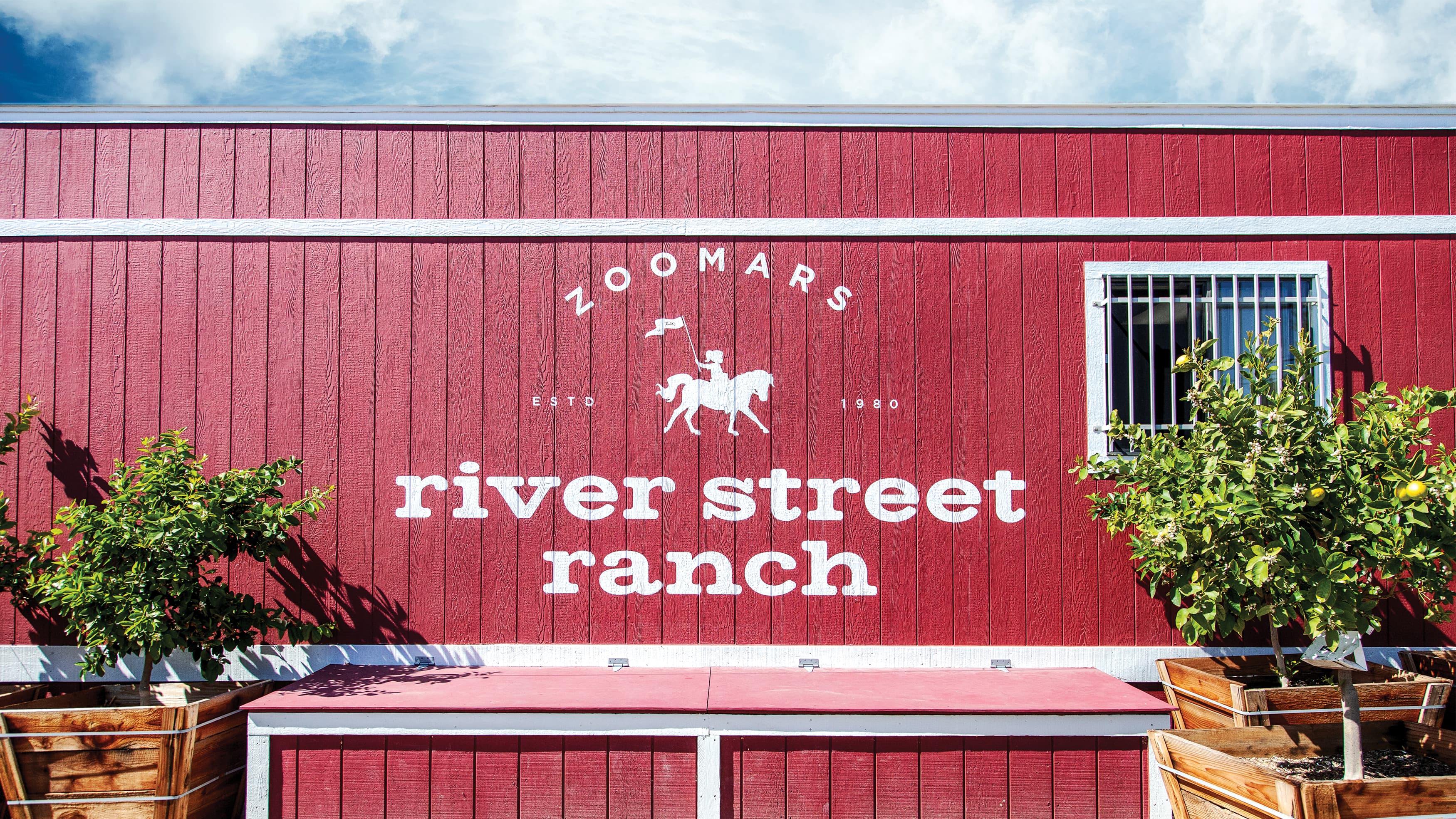 Zoomars at River Street Ranch painted mural identity by Max Mcilwee and RSM Design