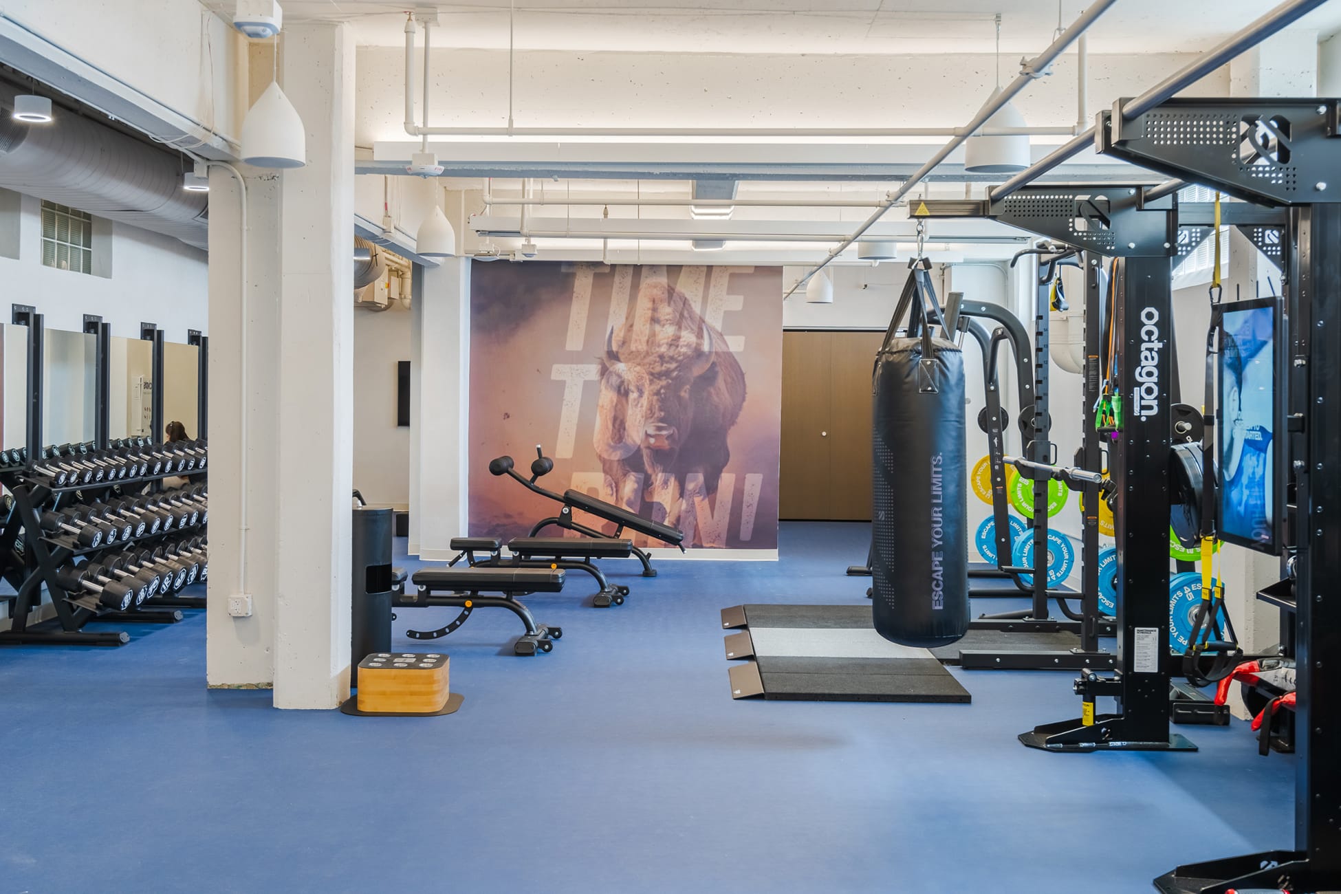 The Armour Stockyards fitness center with bison motivational wall graphic, environmental graphic design by RSM Design