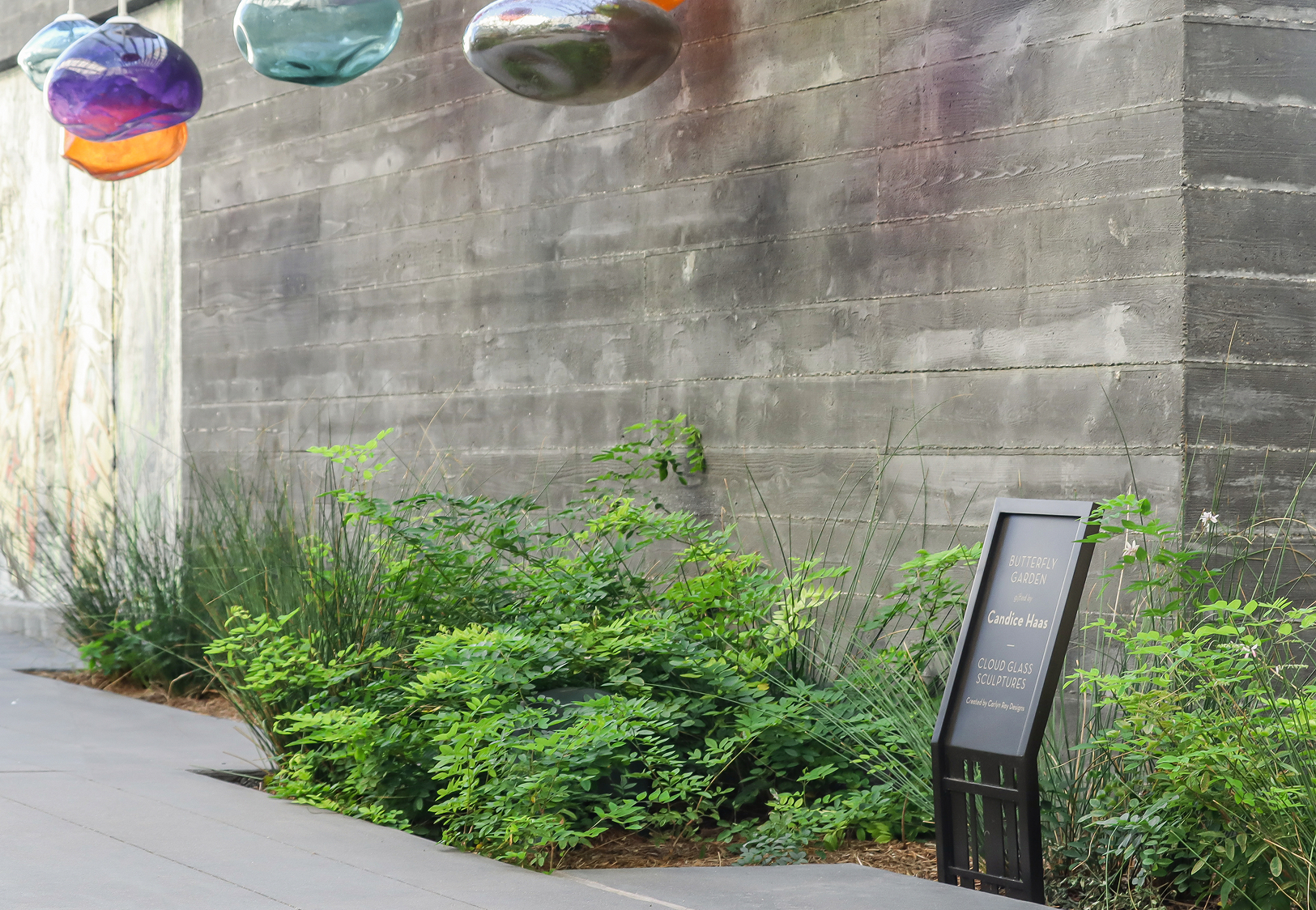 Butterfly garden along a concrete wall with lush greenery, colorful hanging cloud glass sculptures in purple, teal, and orange, and a sign reading 'Butterfly Garden, gifted by Candice Haas, Cloud Glass Sculptures.