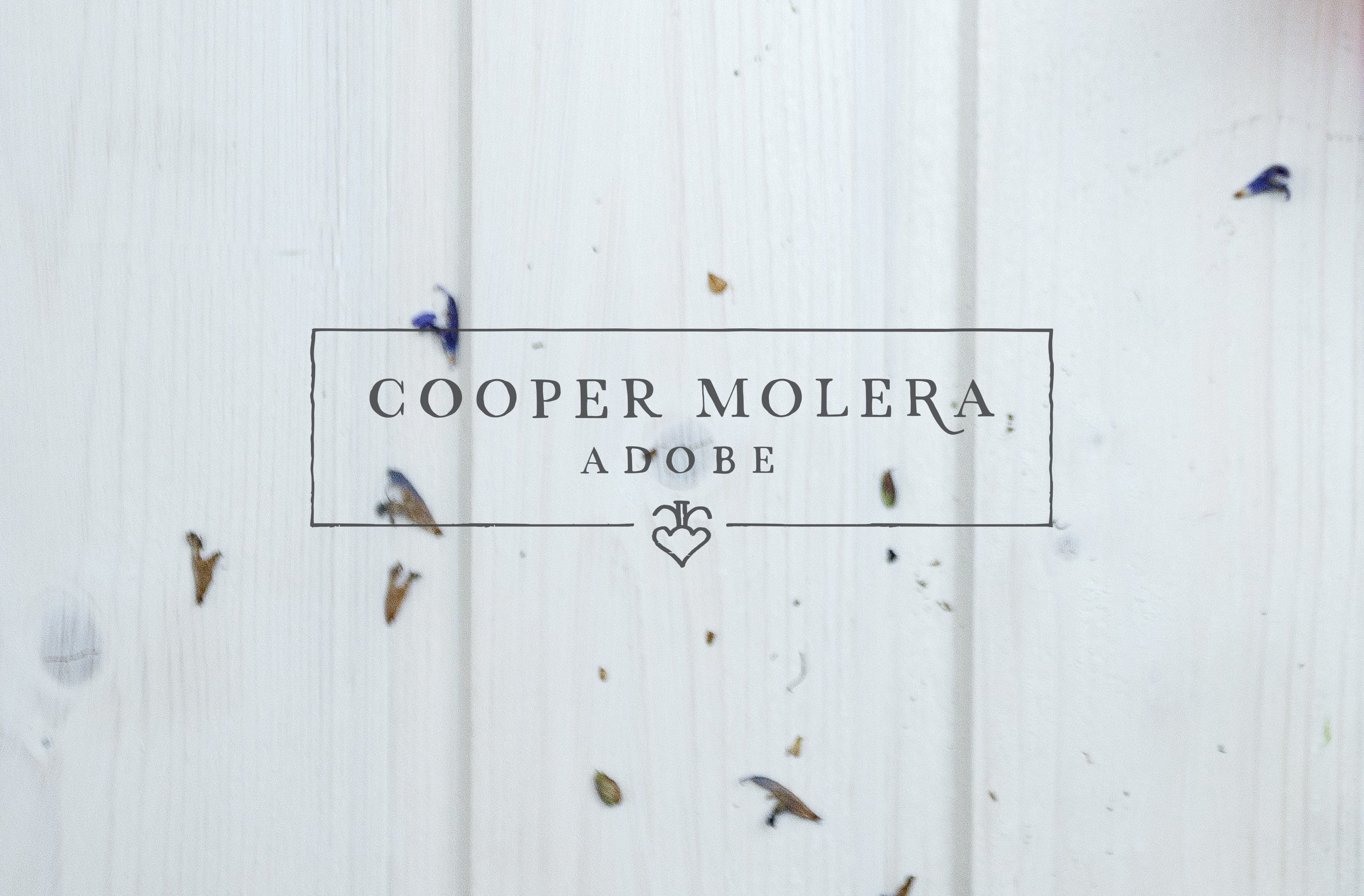 RSM Design branding and logo design services for Cooper Molera Adobe, in Monterey, California,  is a historic property jointly managed with the National Trust for Historic Preservation