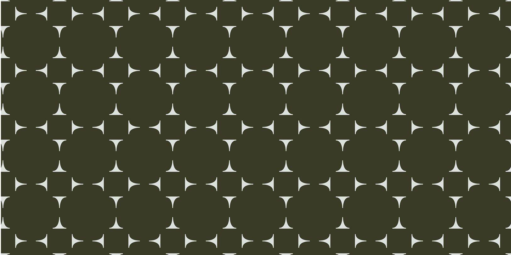 The North Rim geometric star brand pattern in mist and forest, brand identity design by RSM Design